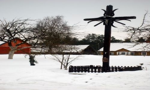 Zdjecie LITWA / Wilno  / Wilno  / samotnosc