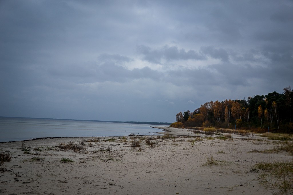 Zdjęcia: Park Narodowy Kemri, Jūrmala, Park Narodowy Kemri, ŁOTWA Zdjęcia: Park Narodowy Kemri, Jūrmala, Park Narodowy Kemri, ŁOTWA