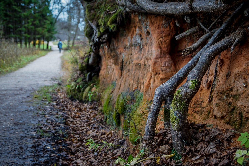 Zdjęcia: Park Narodowy Gauja, Park Narodowy Gauja, Park Narodowy Gauja, ŁOTWA Zdjęcia: Park Narodowy Gauja, Park Narodowy Gauja, Park Narodowy Gauja, ŁOTWA