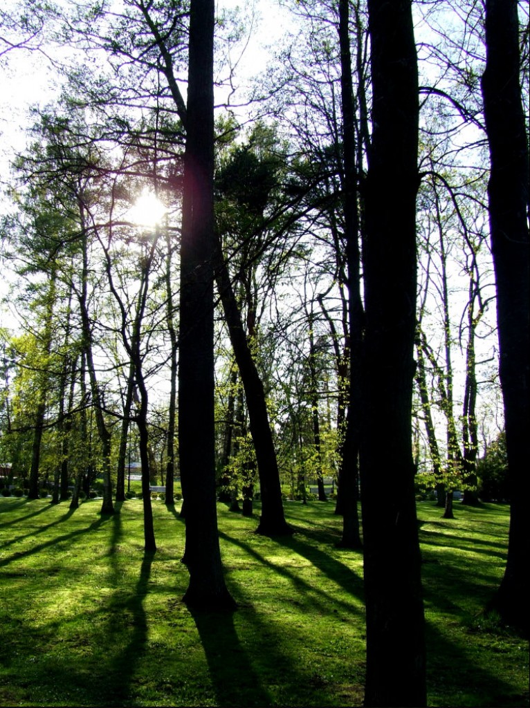 Zdjęcia: Lipawa, Lipawa, przez park..., ŁOTWA Zdjęcia: Lipawa, Lipawa, przez park..., ŁOTWA