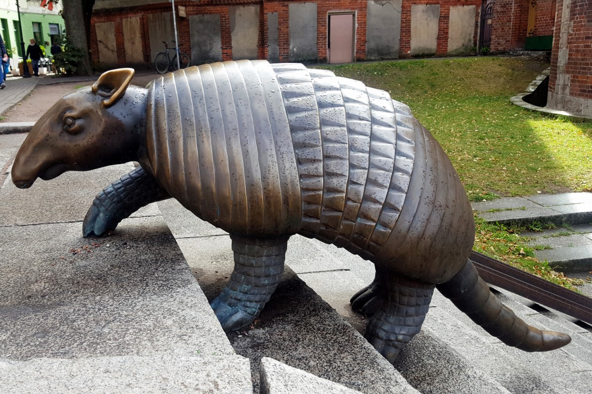 Zdjęcia: Stare Miasto (Jauniela), Ryga, Ciężko jest wchodzić pod górę, ŁOTWA Zdjęcia: Stare Miasto (Jauniela), Ryga, Ciężko jest wchodzić pod górę, ŁOTWA