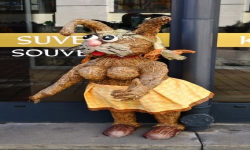 Zdjecie OTWA / Kurlandia / Ryga / Na Ryskiej starwce (