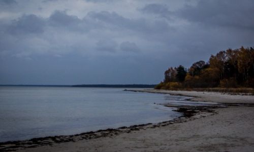 Zdjcie OTWA / Jurmala / Park Narodowy Kemri / Park Narodowy Kemri
