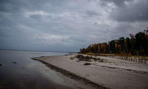 Zdjcie OTWA / Jurmala / Park Narodowy Kemri / Park Narodowy Kemri