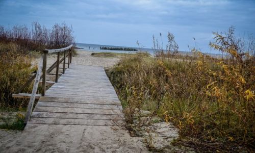 Zdjecie OTWA / Jurmala / Park Narodowy Kemri / Park Narodowy Kemri