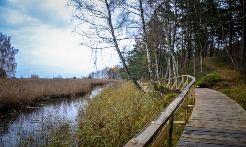 Zdjcie OTWA / Jurmala / Park Narodowy Kemri / Park Narodowy Kemri