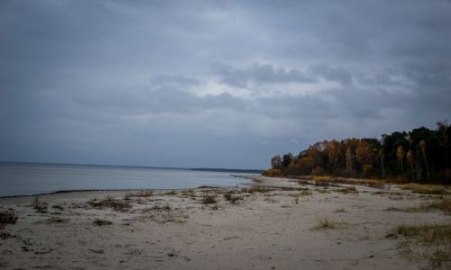 Zdjcie OTWA / Jūrmala / Park Narodowy Kemri / Park Narodowy Kemri