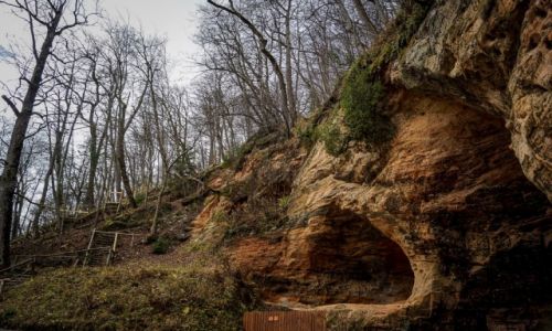 Zdjęcie ŁOTWA / Park Narodowy Gauja / Park Narodowy Gauja / Park Narodowy Gauja