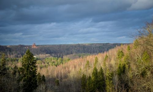 Zdjcie OTWA / Park Narodowy Gauja / Park Narodowy Gauja / Park Narodowy Gauja
