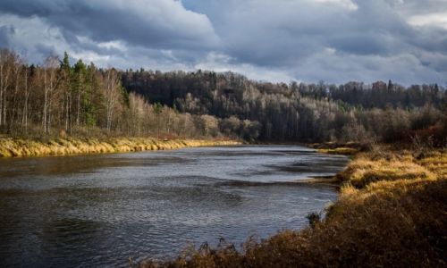 Zdjcie OTWA / Park Narodowy Gauja / Park Narodowy Gauja / Park Narodowy Gauja