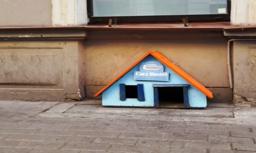 Zdjecie OTWA / Ryga / Ryga / Cats Hostel