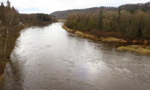 Zdjcie OTWA / okolice Siguldy / P,N, Gauja / rzeka Gauja