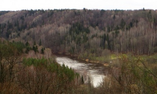 Zdjcie OTWA / okolice Siguldy / P,N, Gauja / rzeka Gauja