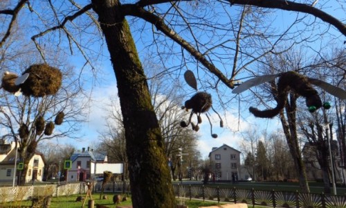 Zdjcie OTWA / okolice Rygi / Sigulda / obrazki z Siguldy