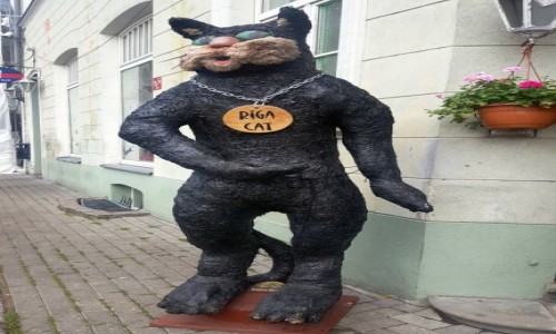 Zdjecie OTWA / Ryga / Stare Miasto  / Dla mioniczek (w) sierciuchw i mruczusiw
