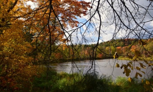 Zdjcie OTWA / Okrg Sigulda / Park Narodowy Gauja / Jesie, woda i las