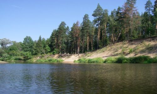 Zdjęcie ŁOTWA / brak / Gauja / Gauja1