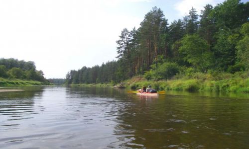 Zdjęcie ŁOTWA / brak / Gauja / Gauja2