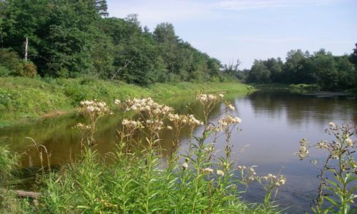 Zdjęcie ŁOTWA / brak / Gauja / Gauja4