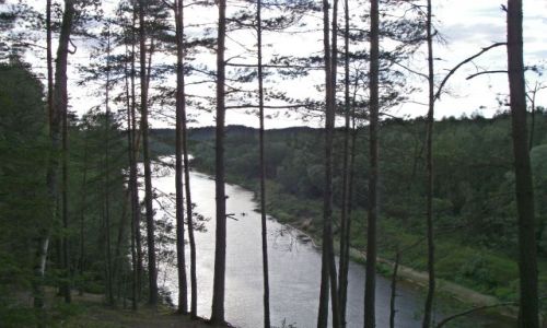 Zdjęcie ŁOTWA / brak / Gauja / Gauja8