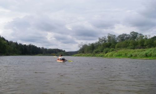 Zdjęcie ŁOTWA / Łotwa / Gauja / Kajak