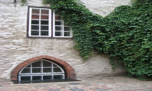 Zdjęcie ŁOTWA / Ryga / Ryga - Stare Miasto / Zielona ściana