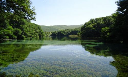 Zdjcie MACEDONIA / Ochryda / Sveti Naum / Jezioro