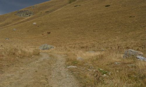 Zdjecie MACEDONIA / - / Park Mavrovo / hale pod Korabem