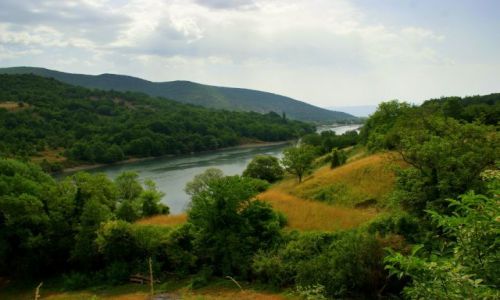 Zdjecie MACEDONIA / Struga / Struga / Struga