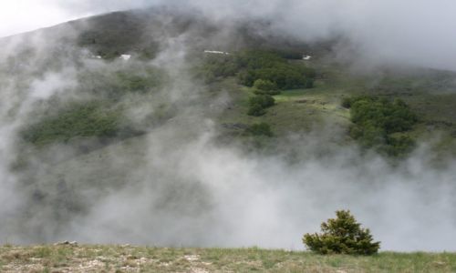 Zdjęcie MACEDONIA / Macedonia / Galicica / W Parku Narodowym Galicica