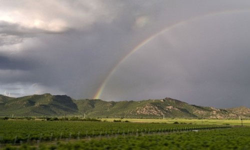 MACEDONIA / Prdejci - Negorci. / Autostrada  A1 / W drodze.