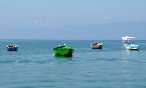 MACEDONIA / - / Ochryda / Zielona dka