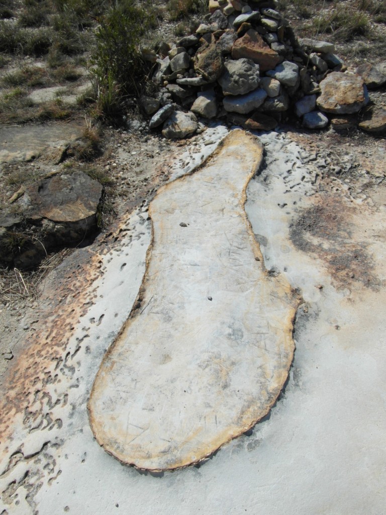 Zdjęcia: Park Narodowy Isalo, Ihorombe, Sama natura, MADAGASKAR Zdjęcia: Park Narodowy Isalo, Ihorombe, Sama natura, MADAGASKAR
