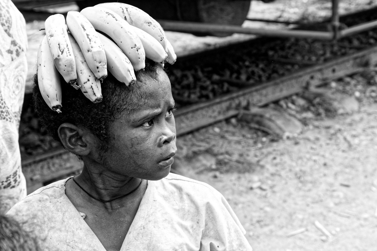 Zdjęcia: gdzieś na trasie pociągu, Fianarantsoa-Manakara, banany, MADAGASKAR Zdjęcia: gdzieś na trasie pociągu, Fianarantsoa-Manakara, banany, MADAGASKAR