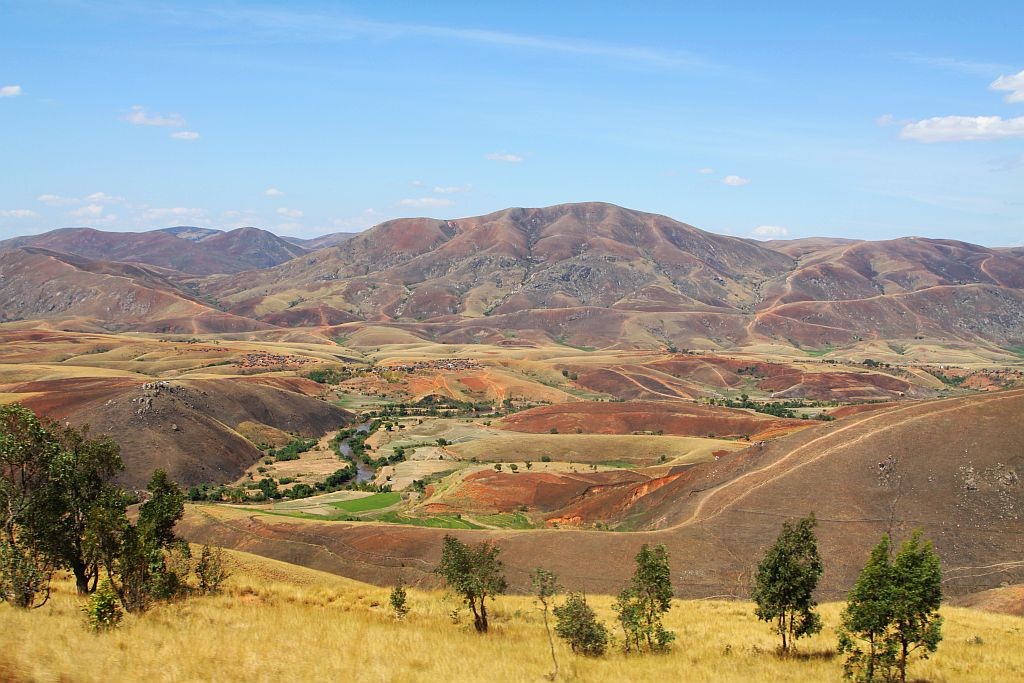 Zdjęcia: Kalamilotra, Mahajanga, Gdzieś na północy, MADAGASKAR Zdjęcia: Kalamilotra, Mahajanga, Gdzieś na północy, MADAGASKAR