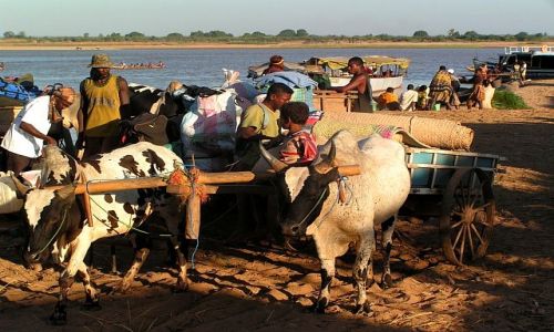 Zdjecie MADAGASKAR / Toliara / Belo-sur-Tsiribihina / Załadunek