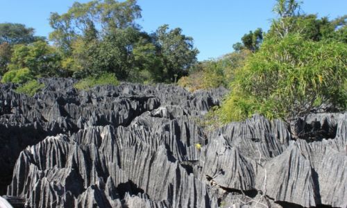 MADAGASKAR / - / PN Tsingy / Tsingy