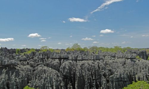 Zdjecie MADAGASKAR / - / Park Narodowy Tsingy de Bemaraha / wapienie dolnojurajskie