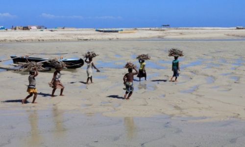 Zdjecie MADAGASKAR / poudniowy wschd / belo sur mer / dziewczyny nios drewno w czasie odpywu