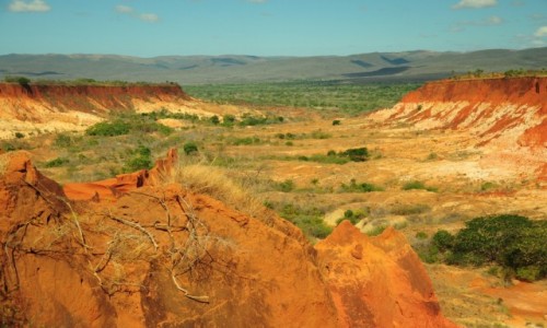 Zdjecie MADAGASKAR / ponoc / Park Antsiranana / Krajobraz