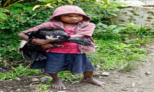 Zdjcie MADAGASKAR / Fianarantsoa-Manakara / gdzie na trasie pocigu / ... nie oddam !!! ...
