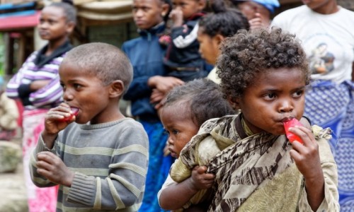 Zdjcie MADAGASKAR / Fianarantsoa-Manakara / gdzie na trasie pocigu / DzieciakI