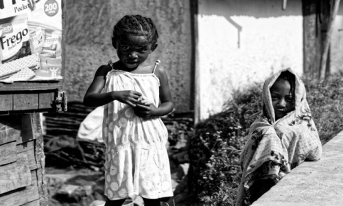 Zdjcie MADAGASKAR / Ranomafana / Ranomafana / 