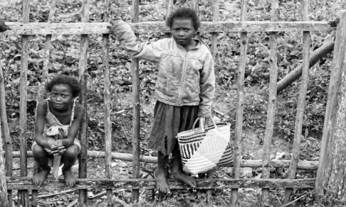 Zdjecie MADAGASKAR / Fianarantsoa-Manakara / gdzie na trasie pocigu / Na pocie