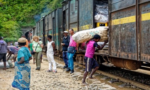 Zdjcie MADAGASKAR / Fianarantsoa-Manakara / gdzie na trasie pocigu / Zaadunek