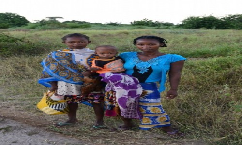 Zdjcie MADAGASKAR / Menabe / Aleja baobabw / Kolory rodziny