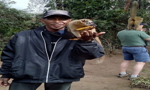 Zdjecie MADAGASKAR / - / Andasibe / Madagascar tours polska