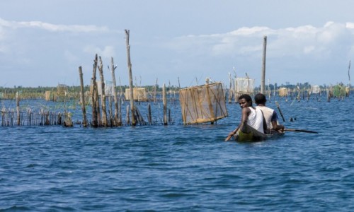 Zdjcie MADAGASKAR / Madagaskar wschodni / Canal des Pangalanes / Na wodzie