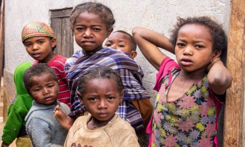 Zdjcie MADAGASKAR / Madagaskar centralny / Antoetra / Do konkursu na smarki Afryki