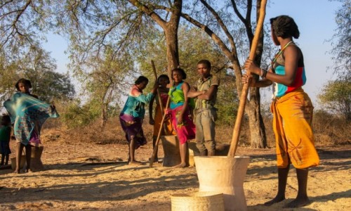 Zdjcie MADAGASKAR / RN34 / Mahabo / Oddzielanie ziarna od plew